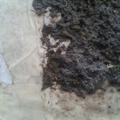 Hausnummer 2. Tag, Detail 1