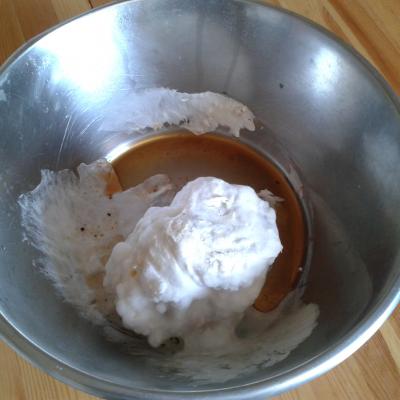 Das Myzelium Magnum, verteilt auf die halbe Schüssel