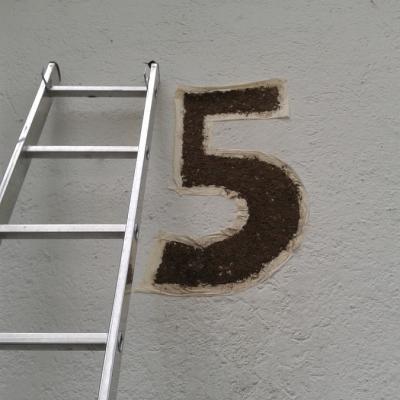 Die Nummer vor der Operation, etwas ausgedünnt