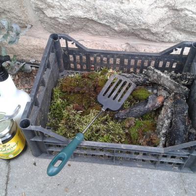 Mein Werkzeugkasten sozusagen (Holz fürs Hügelbeet)
