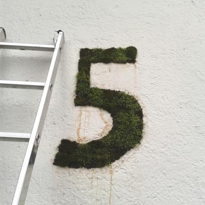 Fertig! Mit kleinen Lücken, aber sieht schon super aus!