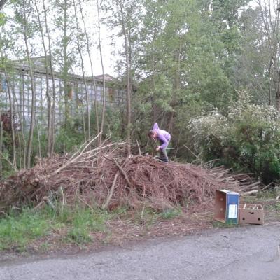 Lara und der große Holzhaufen