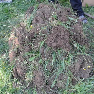 Wir präsentieren: das Erdhaufenbeet!