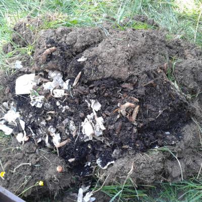 Wurmkompost noch reingezwängt