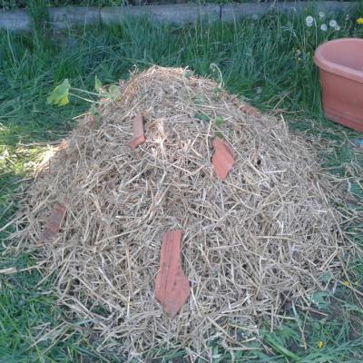 das fertige Hügelbeet mit Strohmulch und alten Dachziegelstücken