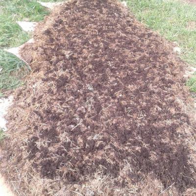 really just very little soil on top of the manure