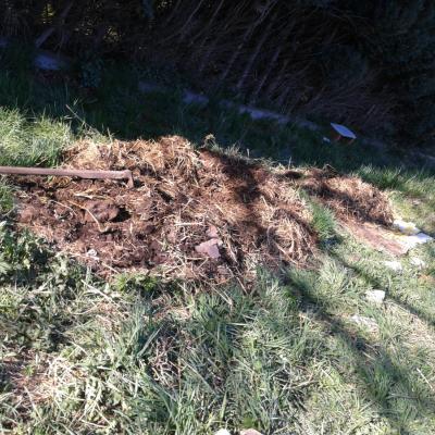 joining the compost heaps and last year’s moundlet with manure