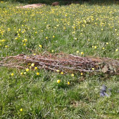 Holzbasis des zweiten Hügelbeets