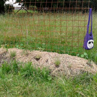 heap bed replanted already in places