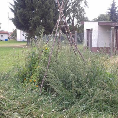 the totally overgrown green tipi