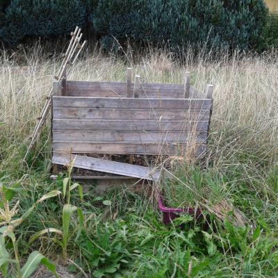 the lasagna-bed-turned-compost, September 2015