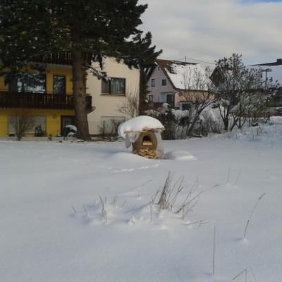 Ofen mit provisorischem Dach und jeder Menge Schnee, Ende Januar