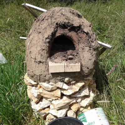 the oven in August, already with signs of decay