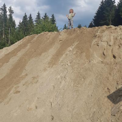 Jemand hatte Spaß beim Sandholen!