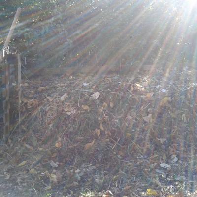Es war SOWAS von sonnig.