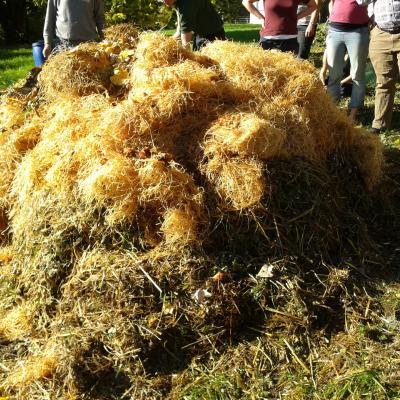 Laub und Holzhäcksel und Holzwolle und Abfälle und Holzkohle…